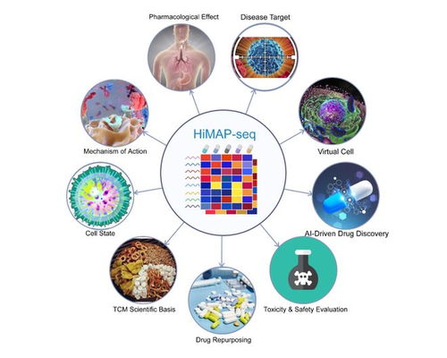 王棟、鄧赟與許俊泉團隊開發(fā)HiMAP-seq新技術(shù)并構(gòu)建三億量級藥物基因表達數(shù)據(jù)庫CIGS，引領(lǐng)生物技術(shù)新前沿
